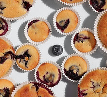 Blueberry Muffins
