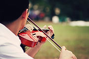 violín