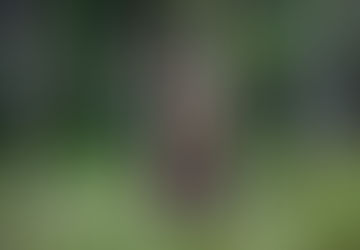 What is a natural birth? Natural vs Normal aka Vaginal?