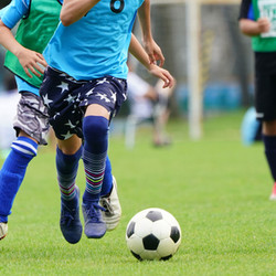 Sport, Games & Hobbies Books