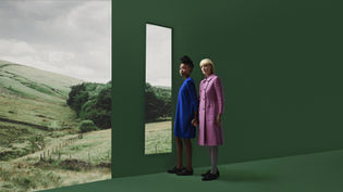 יועץ עסקי, מה הוא יודע?