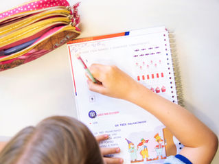 Resultados Parciais Classificação - ESV 2026