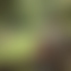 Kuşaklar arası çatışma