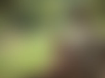 Kuşaklar arası çatışma