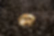 One Coin