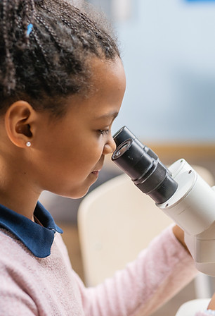 Looking Through Microscope