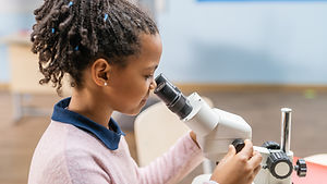 Looking Through Microscope