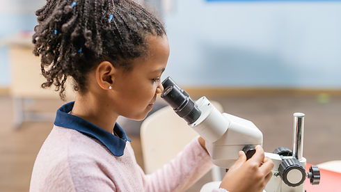 Looking Through Microscope