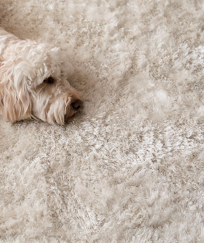 Flooring specialists Oxfordshire