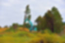Excavator Uprooting Tree