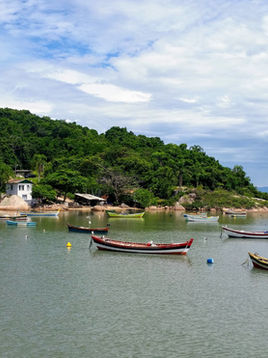 The Boat of Life