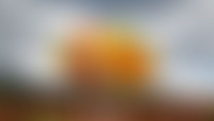 セラピストデビュー