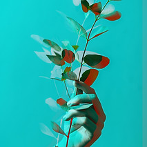 Surreal Leaf Art