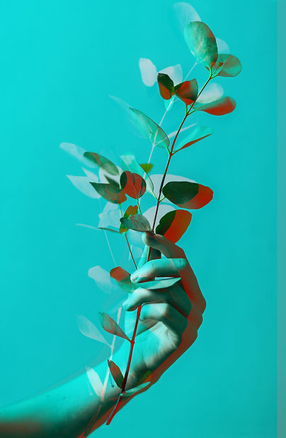 Arte surreal com folhas