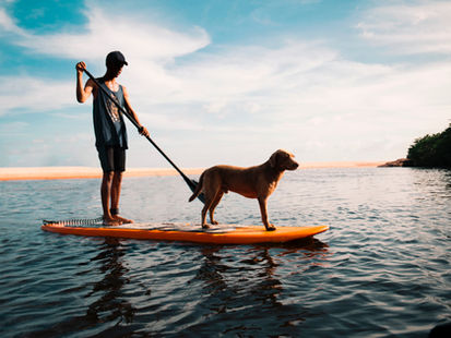 Man paddle boarding with his dog during a pet-friendly coastal holiday in South Africa