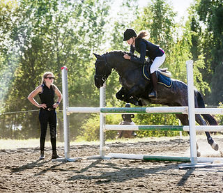 Saut d'obstacle équestre