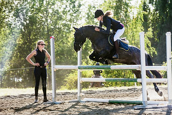Saut d'obstacle équestre