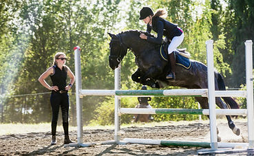 Saut d'obstacle équestre