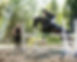 Saut d'obstacle équestre