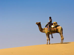 Things to do in India while on a flashpacking trip