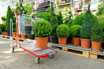 Blue Diamond Garden Centres announces Hospice UK as its Charity Partner of the Year