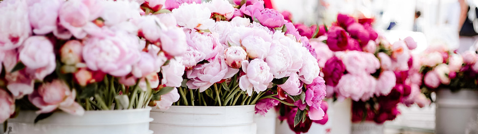 Frische Blumen