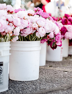 Fresh Flowers
