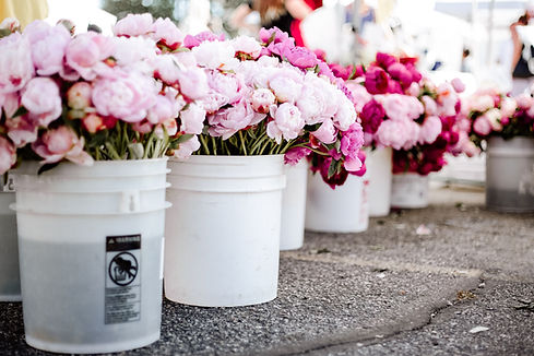 Fresh Flowers