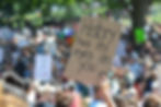 Protest Sign