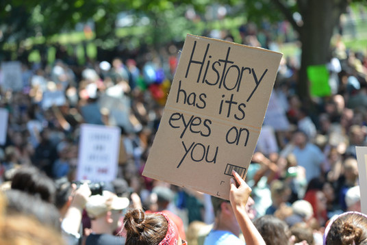 Protest Sign