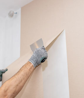 Wallpaper Installation