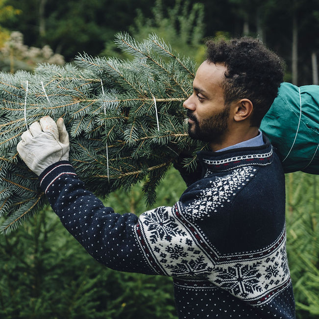Buying Christmas Tree
