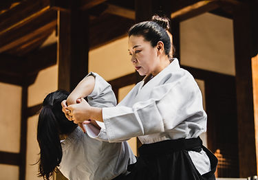 Sessão de Artes Marciais