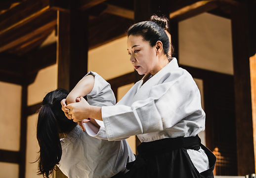 武術のセッション