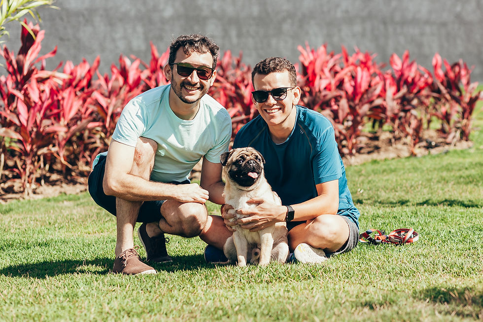Dog Owners