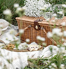 Picnic Basket