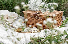 Picnic Basket Outdoor