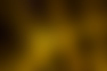 器の広さを考える|健康意識と覚悟のバランス