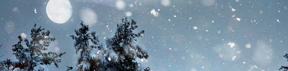 Snowy Winter Landscape