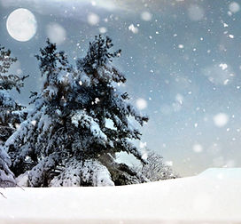 Snowy Night