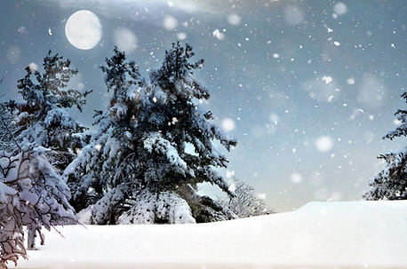 Snöigt vinterlandskap