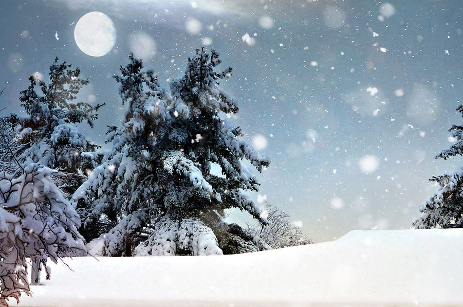 Verschneite Winterlandschaft