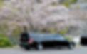 満開の桜と霊柩車