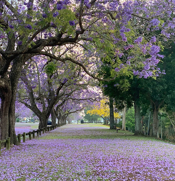 Blooming Park
