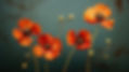 Fleurs de pavot