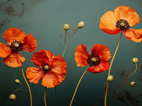 Your Body is Your Ally: Embracing Self-Compassion Through Physical Nurturing