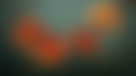 Lance Pearson 1947 - 2024