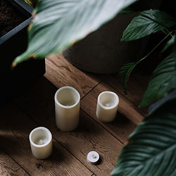 Bougies et feuilles vertes