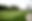 Golf Course Scenery