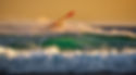 Windsurf radical